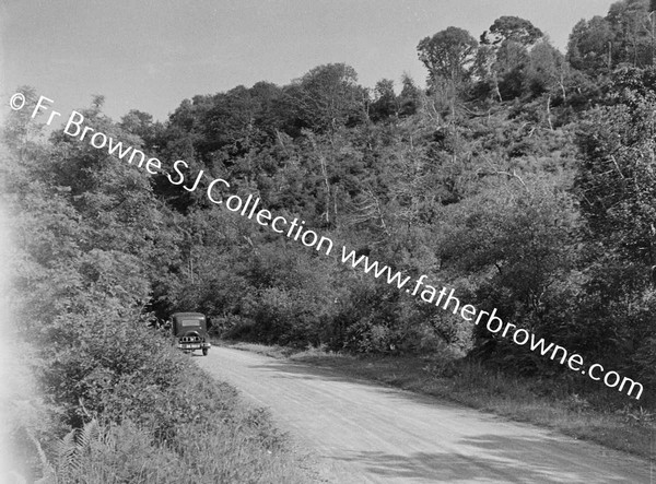 OLD CAR ON WOODED ROAD